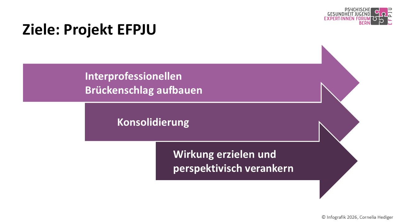 EFPJU Infografik Folie 7