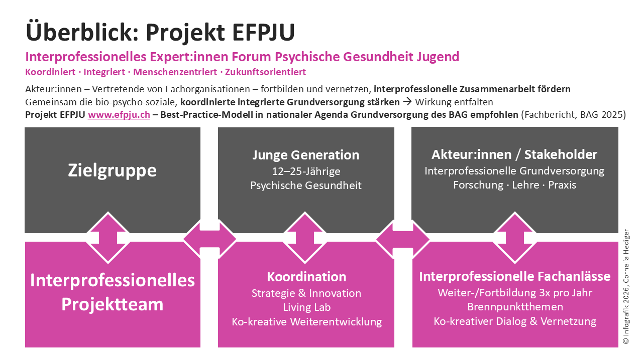 EFPJU Infografik Folie 8